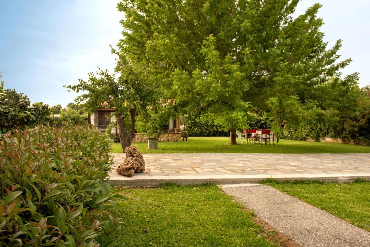 Appartement Άελλα à Ierissos Extérieur photo